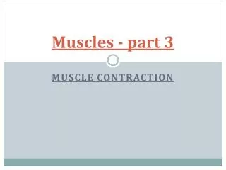 muscles part 3