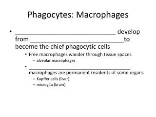 Phagocytes: Macrophages