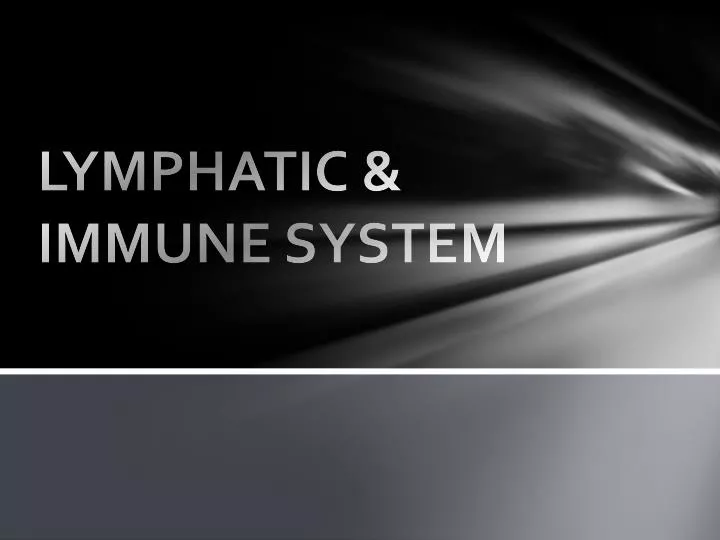 lymphatic immune system