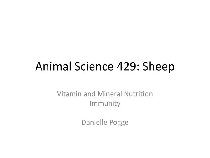 animal science 429 sheep