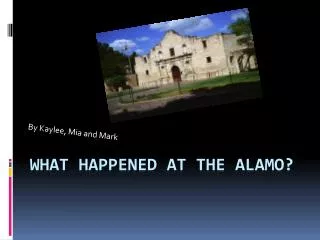 What Happened at the Alamo?