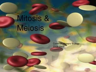 Mitosis &amp; Meiosis