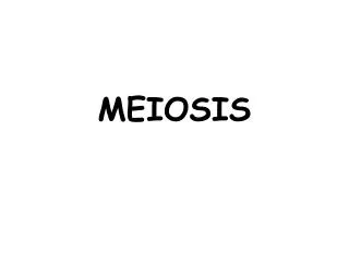 MEIOSIS