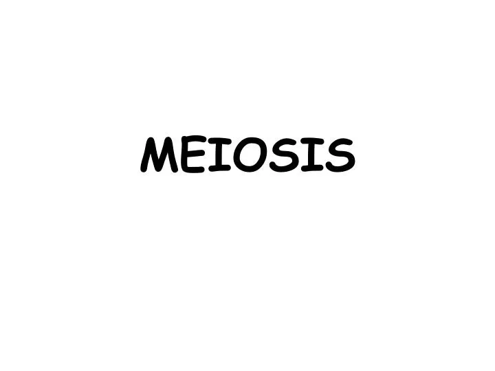 meiosis