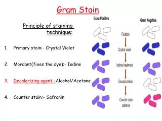 Principle of staining technique: