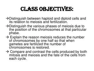 Class Objectives:
