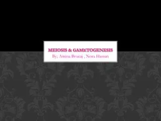 Meiosis &amp; Gametogenesis