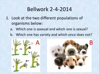 Bellwork 2-4-2014