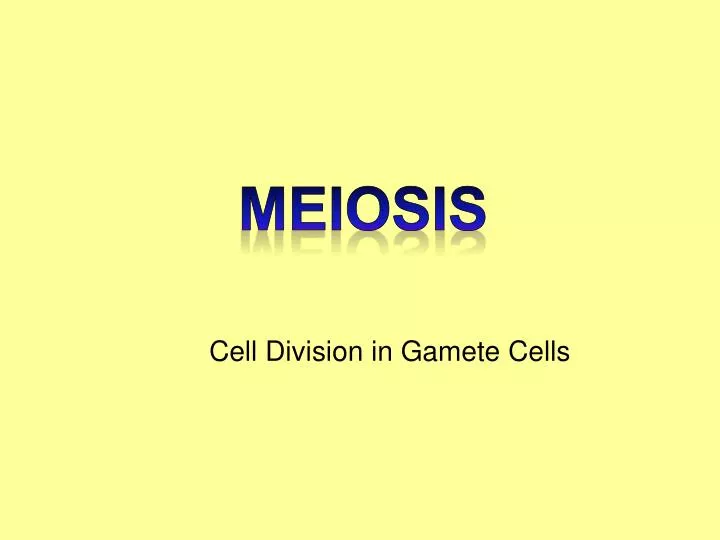 cell division in gamete cells