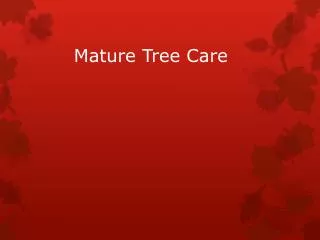Mature Tree Care