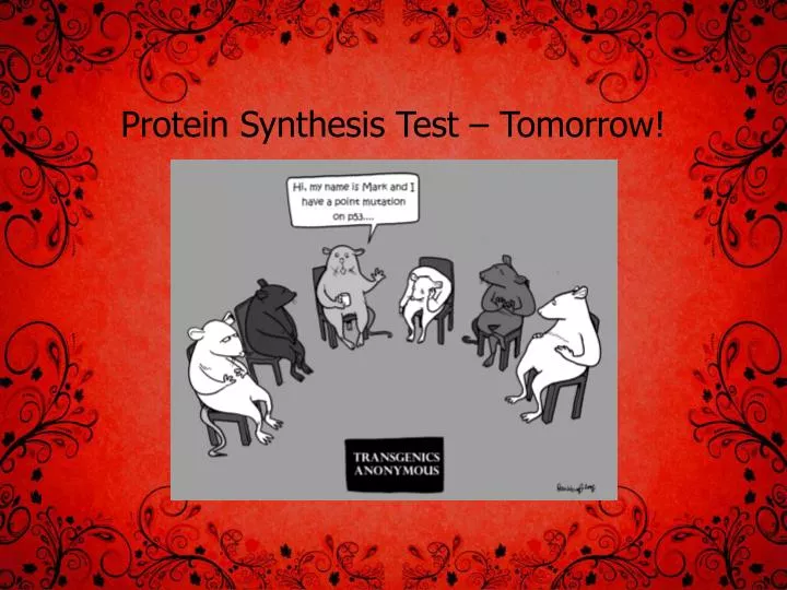 protein synthesis test tomorrow