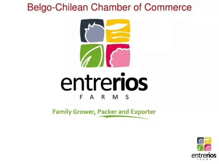belgo chilean chamber of commerce