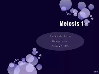 Meiosis 1