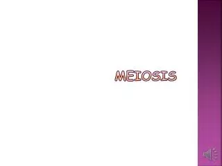 MEIOSIS