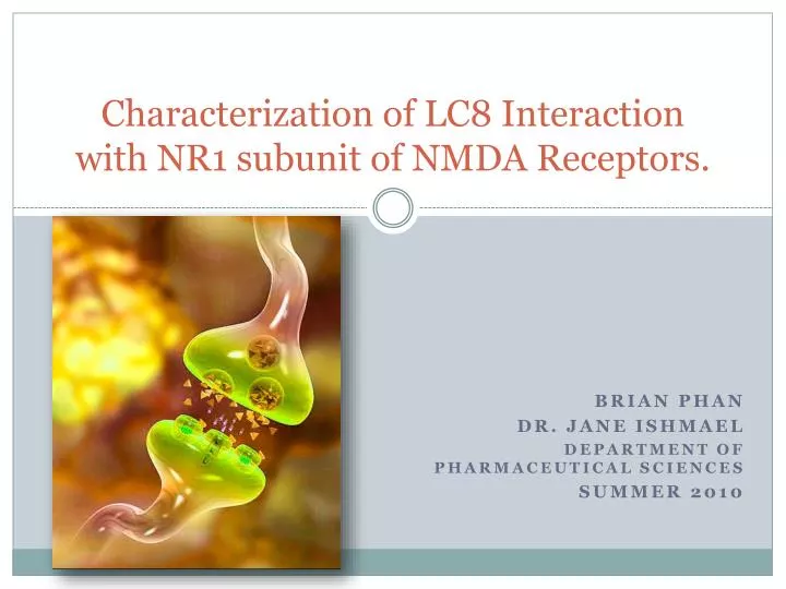characterization of lc8 interaction with nr1 subunit of nmda receptors