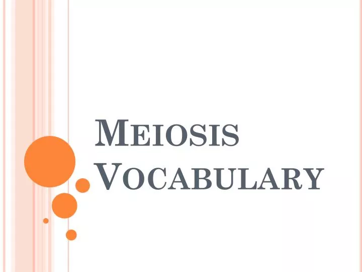 meiosis vocabulary