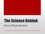 The Intricacies of Meiosis: A Journey into Sexual Reproduction - slide 1