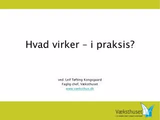 hvad virker i praksis