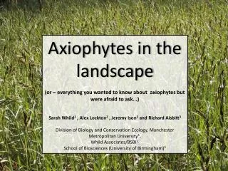 Axiophytes in the landscape