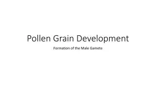 Pollen Grain Development
