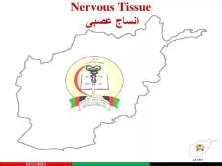 nervous tissue