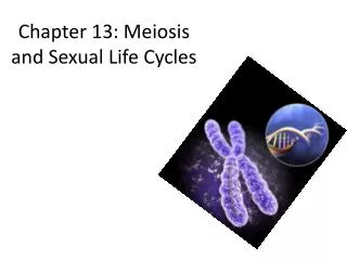 Chapter 13: Meiosis and Sexual Life Cycles