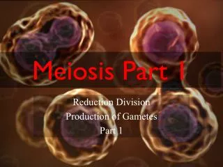 Meiosis Part 1