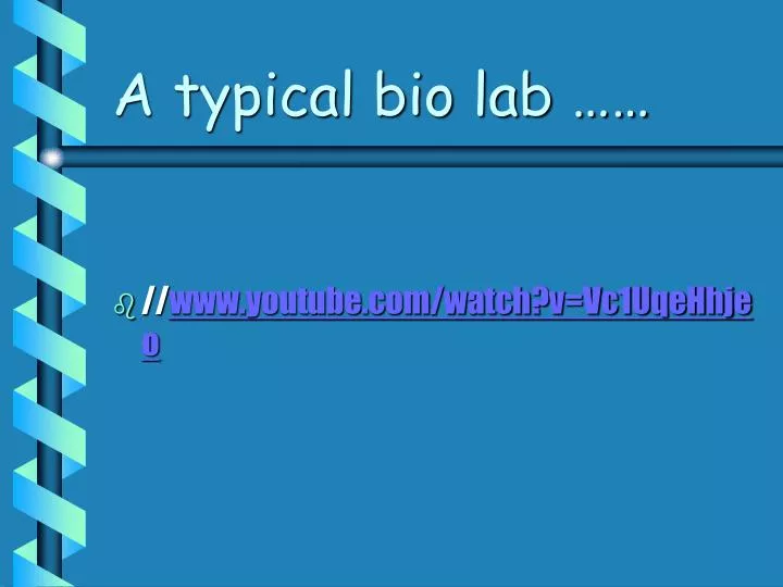 a typical bio lab