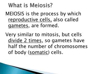 What is Meiosis?