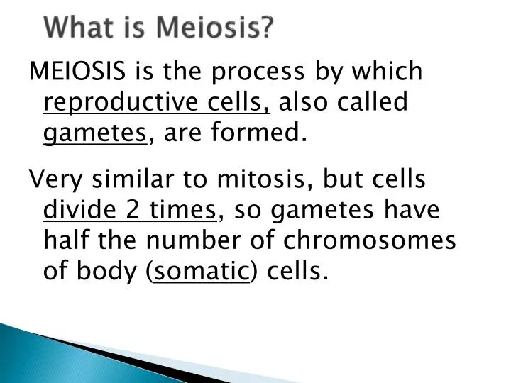 what is meiosis