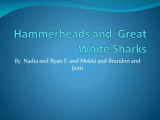 Hammerheads and Great White Sharks