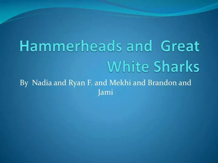 hammerheads and great white sharks