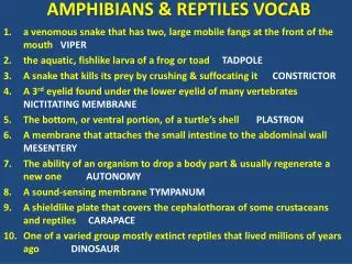AMPHIBIANS &amp; REPTILES VOCAB
