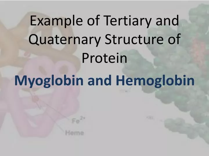 example of tertiary and quaternary structure of protein myoglobin and hemoglobin