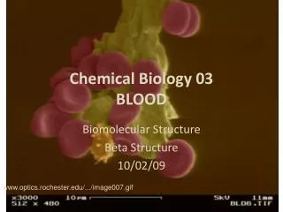 Chemical Biology 03 BLOOD