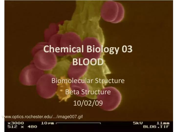 chemical biology 03 blood
