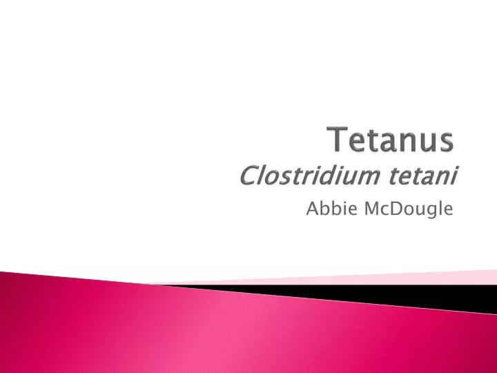tetanus clostridium tetani