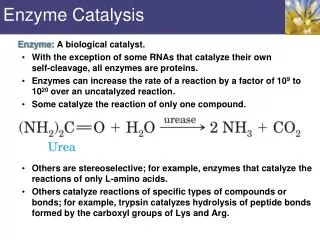 Enzyme Catalysis