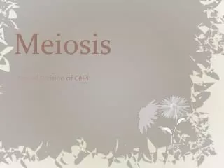 Meiosis