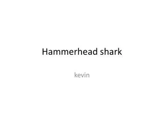 Hammerhead shark