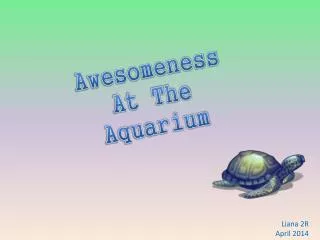 Awesomeness At The Aquarium