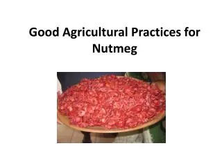 Good Agricultural Practices for Nutmeg
