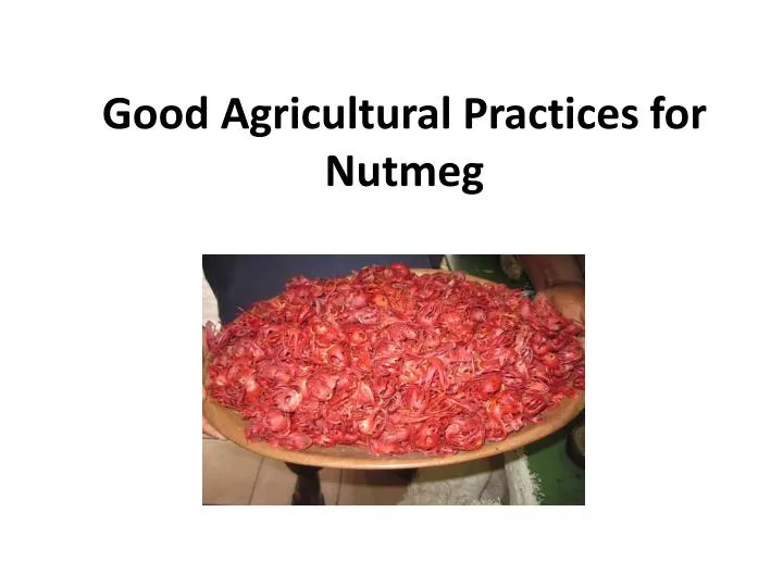 good agricultural practices for nutmeg