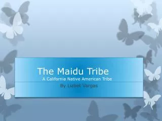 The Maidu Tribe				 	A California Native American Tribe