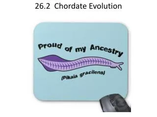 26.2 Chordate Evolution