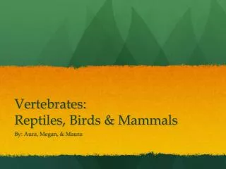 Vertebrates: Reptiles, Birds &amp; Mammals