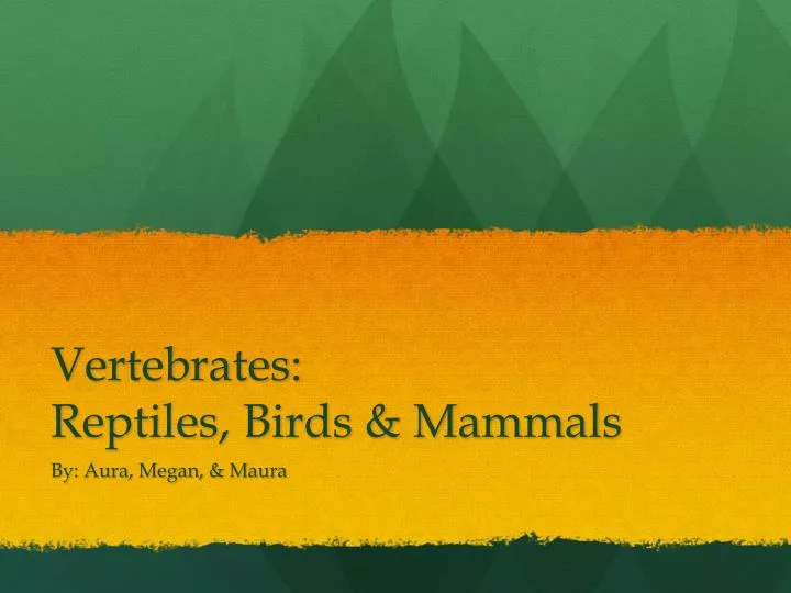 vertebrates reptiles birds mammals