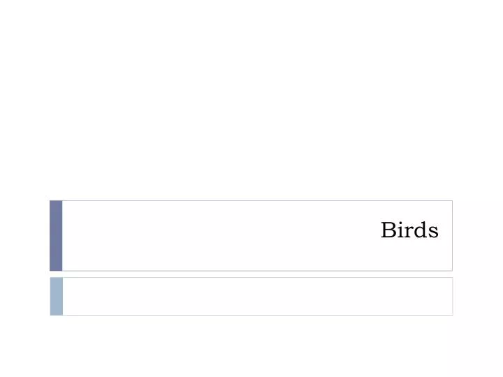 PPT - Birds PowerPoint Presentation, Free Download - ID:2128824
