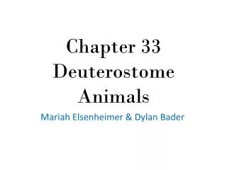 Chapter 33 Deuterostome Animals