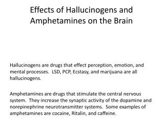 Effects of Hallucinogens and Amphetamines on the Brain
